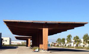 IMG_7045-t